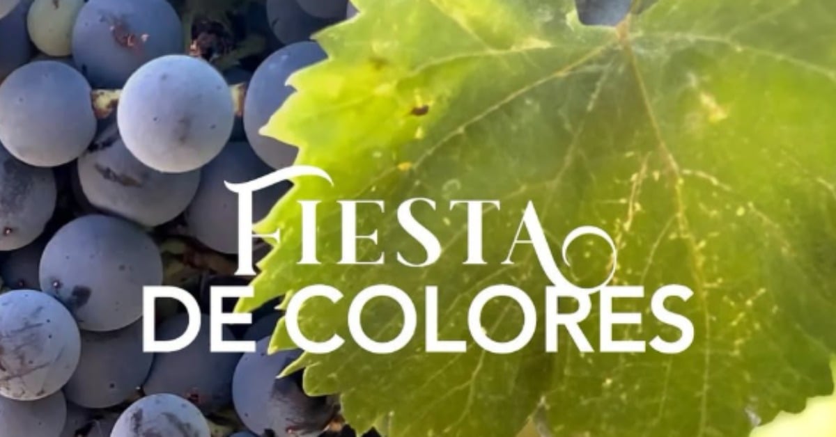 Fiesta de Colores 2025