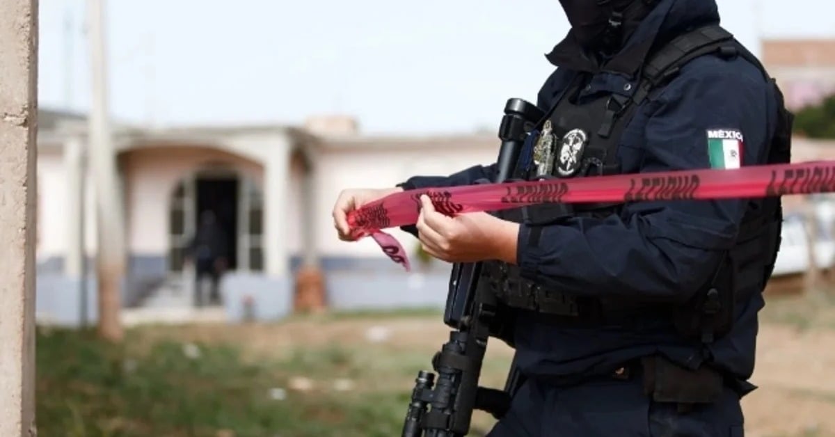 Guanajuato Murder Rate