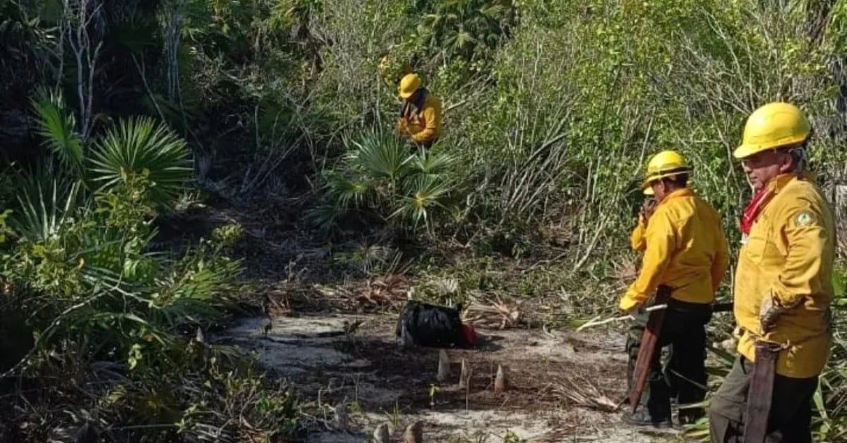 Holbox wildfire 150 hectares