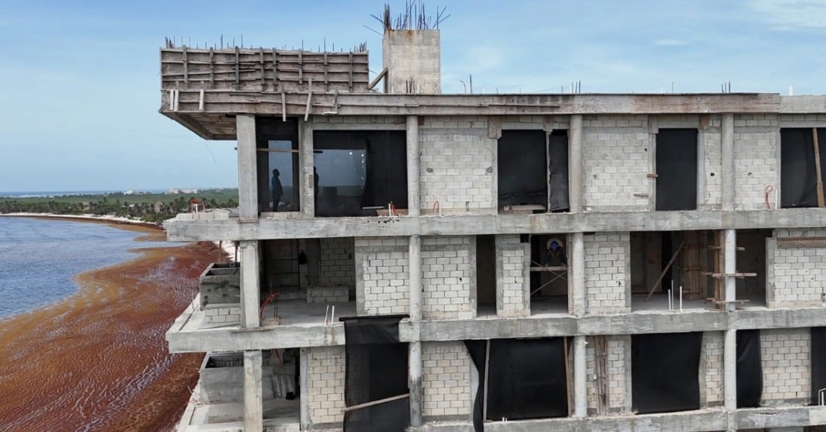 Judge orders Profepa to demolish Adamar condo in Tulum and restore the ecosystem, with firm deadlines and oversight that bolster citizen environmental cases.