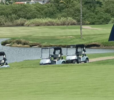 Marina Vallarta golf course renovation