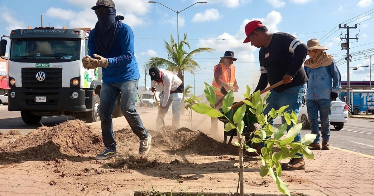 Mazatlán reforestation campaign