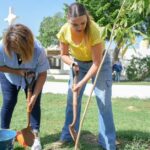 Mérida Verde program is reshaping the city’s canopy and civic culture