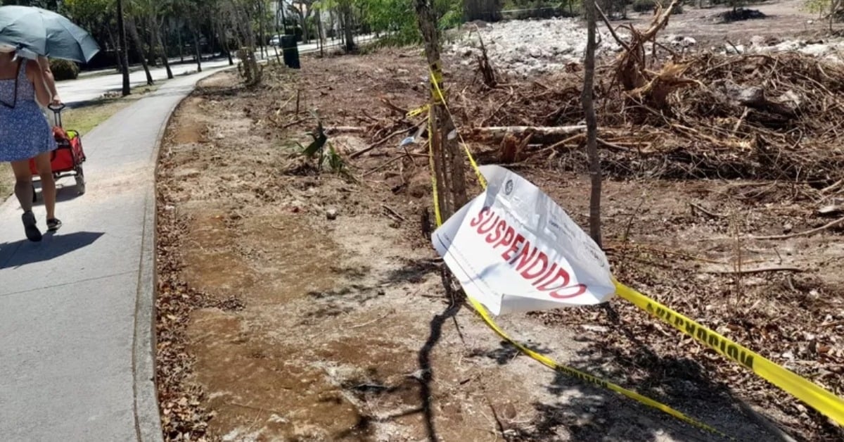 Playacar project halted