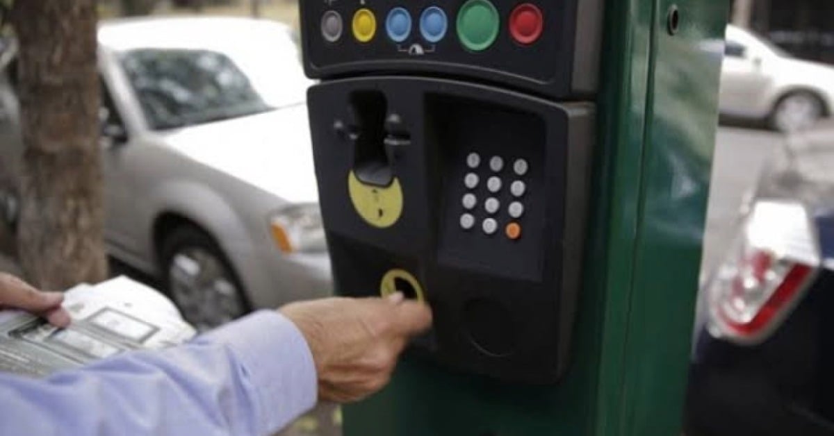 Puerto Vallarta parking meters protest