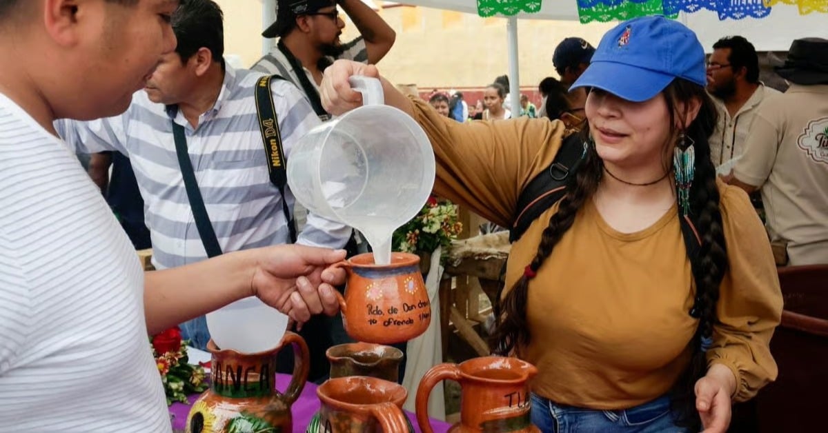 Pulquefest 2025 Mexico City