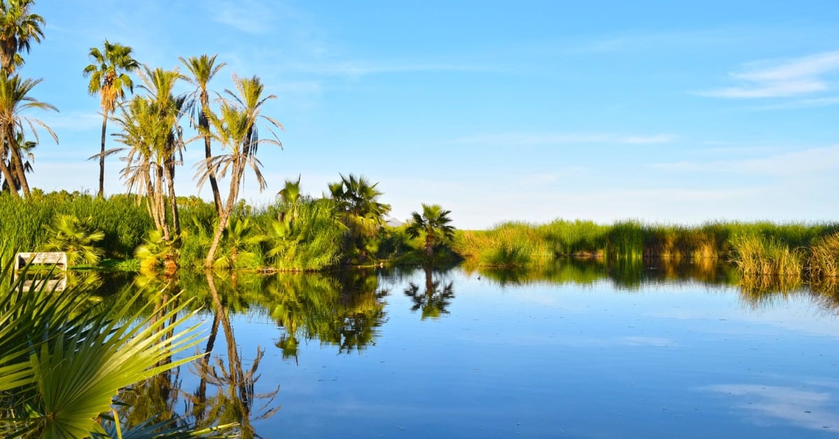 San José Estuary cleanup