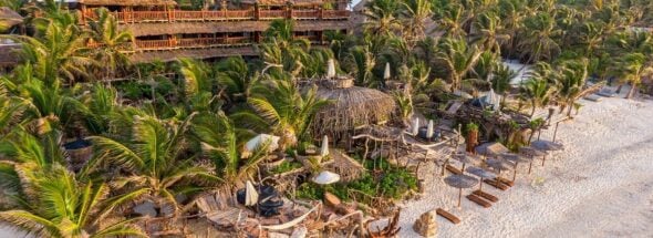 Tulum hotel occupancy
