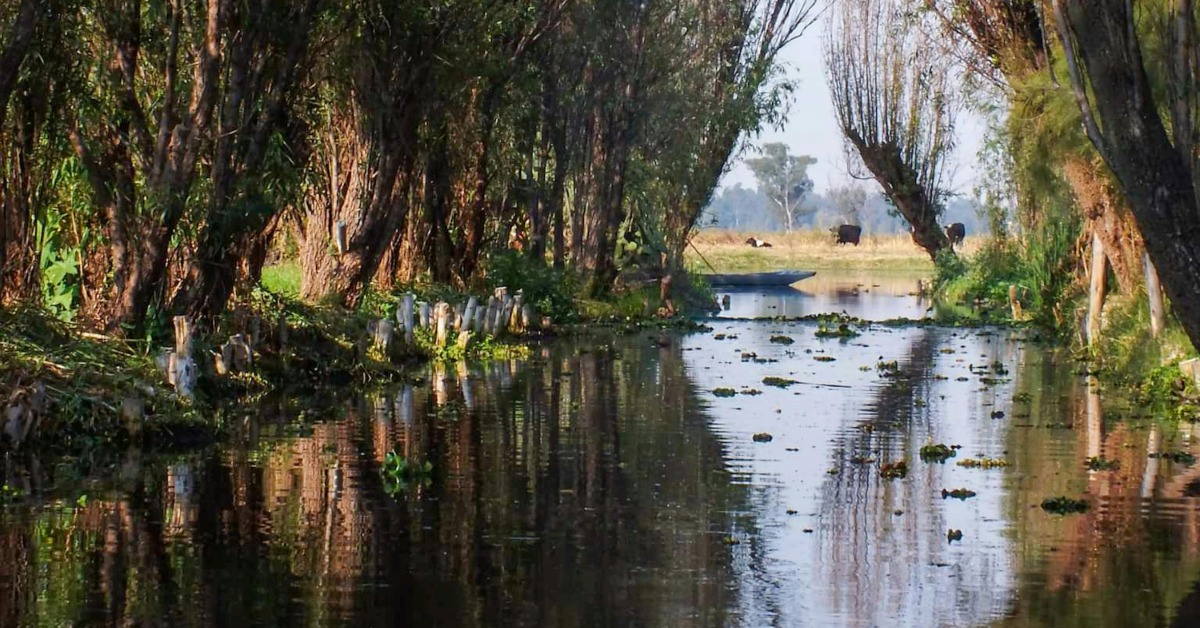Xochimilco