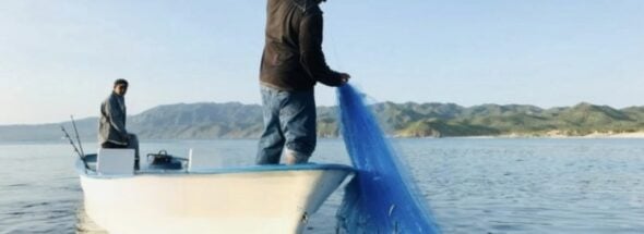 aquaculture in Baja California Sur