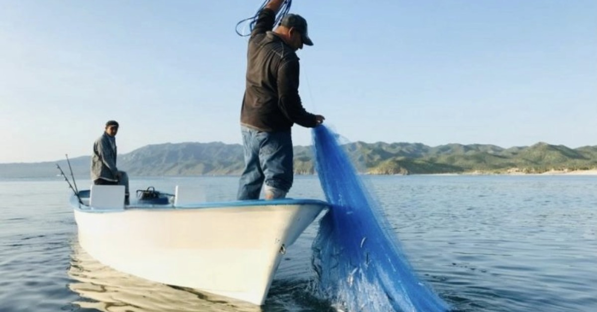 aquaculture in Baja California Sur