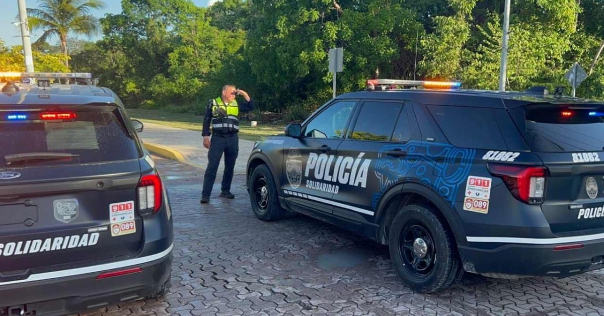 brawl-in-nicte-ha-playa-del-carmen