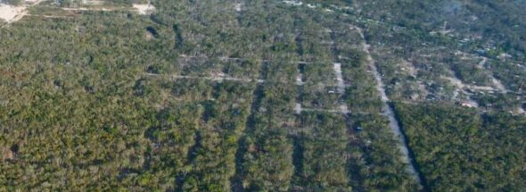illegal land sales near Playa del Carmen