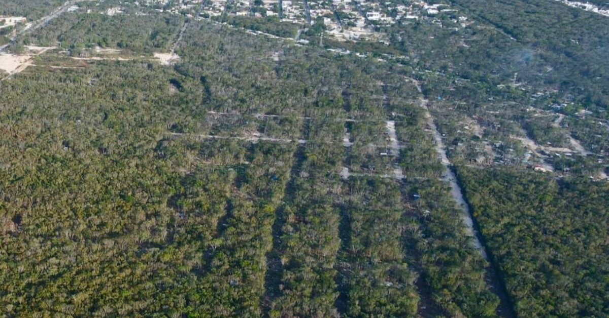 illegal land sales near Playa del Carmen
