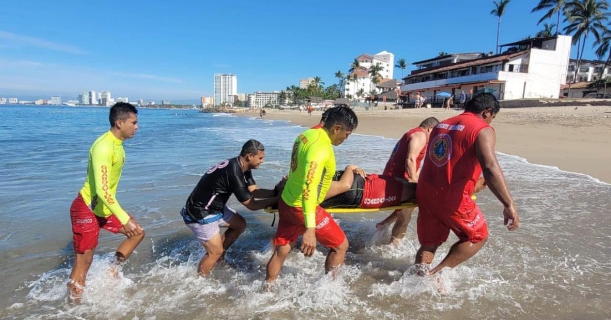 puerto vallarta civil protection