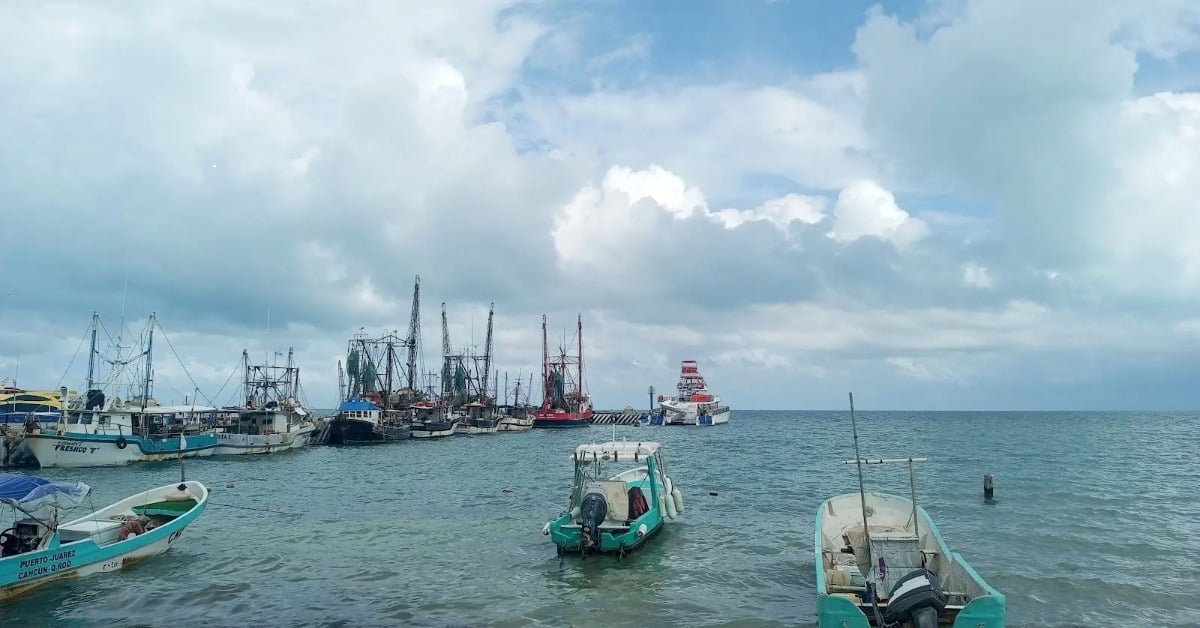 unregistered tour boats in Cancun