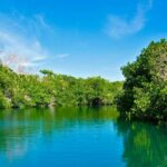 vehicle inspection funds El Salado Estuary