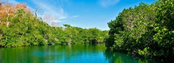 vehicle inspection funds El Salado Estuary