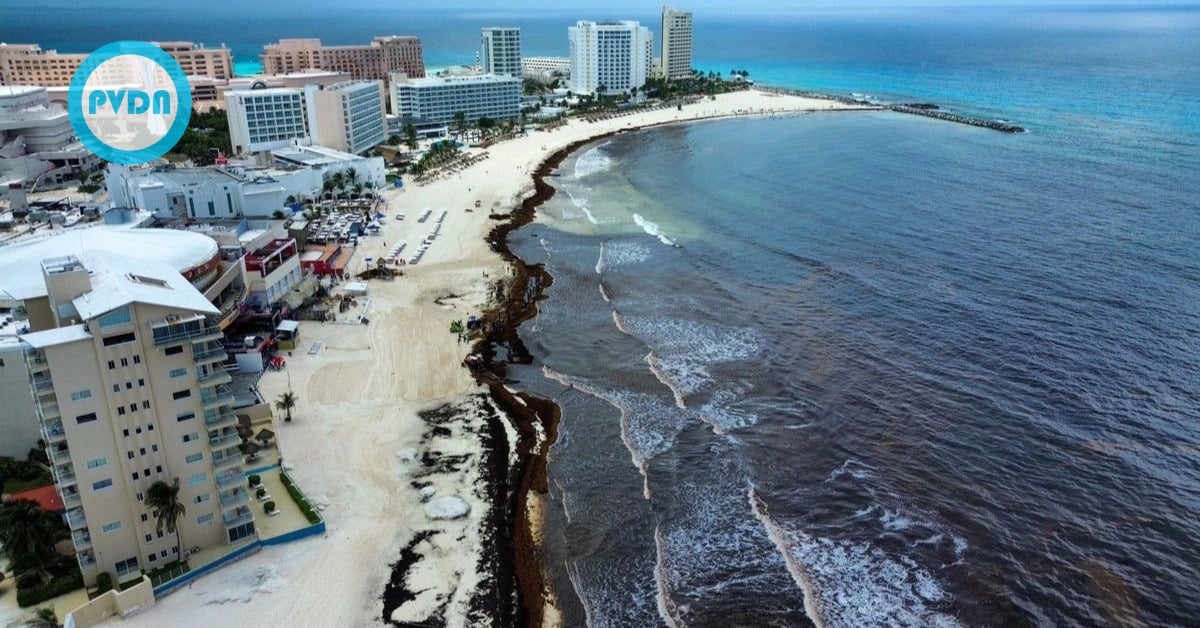 Cancún SMEs financing