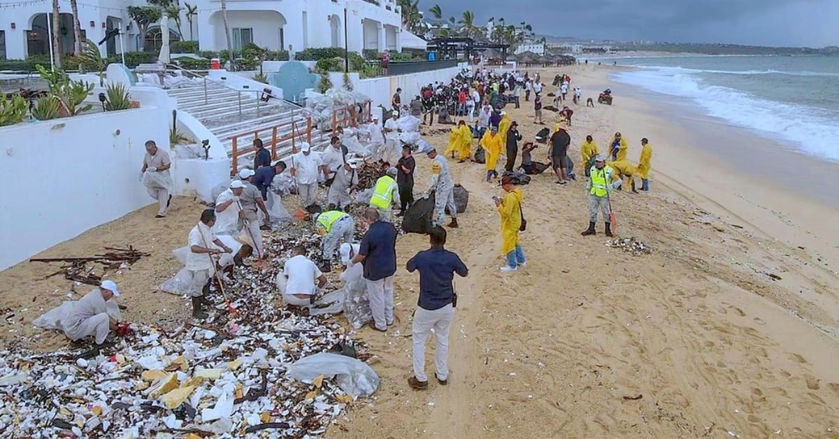 El Médano cleanup