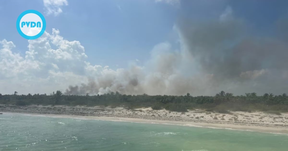 Holbox fire developer denial