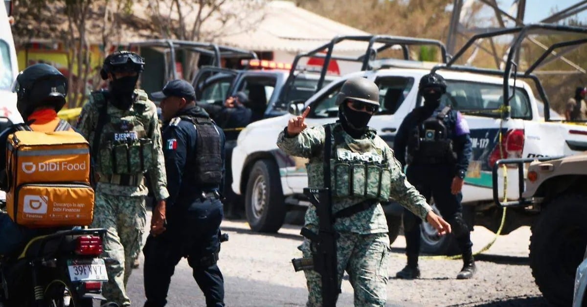 Los Cabos official killed