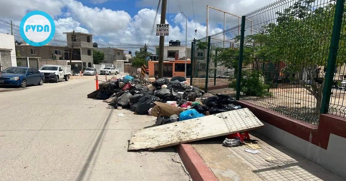 Los Cabos trash pickup