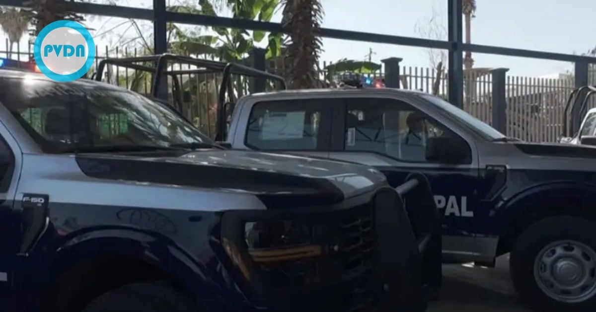 Los Cabos violence