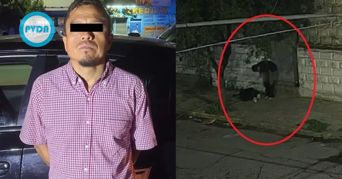 Monterrey store robberies