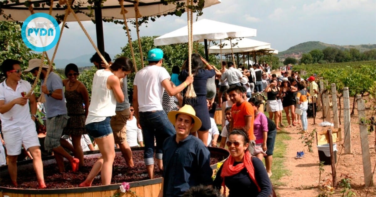 Santa Catalina Harvest Festival