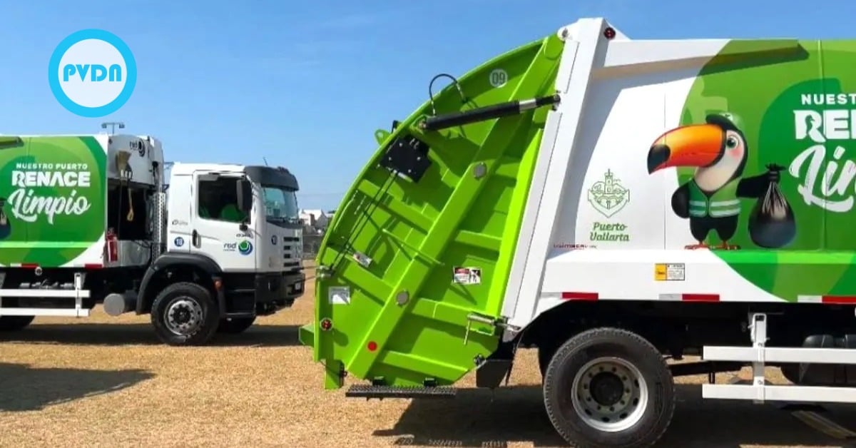 daily trash collection