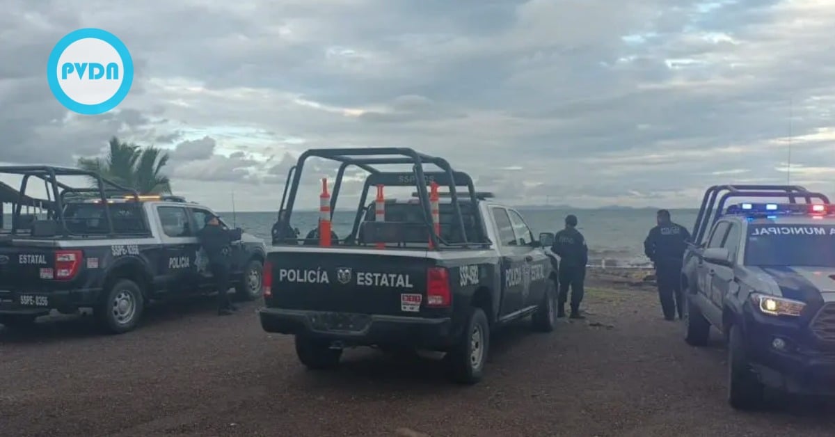 Cabo Pulmo plane