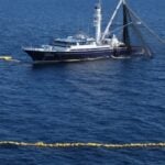 Cabo illegal fishing