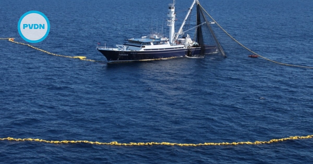 Cabo illegal fishing