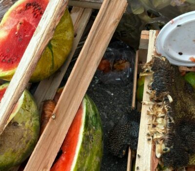 Cancun food poverty widens while good food is trashed Cancun food poverty