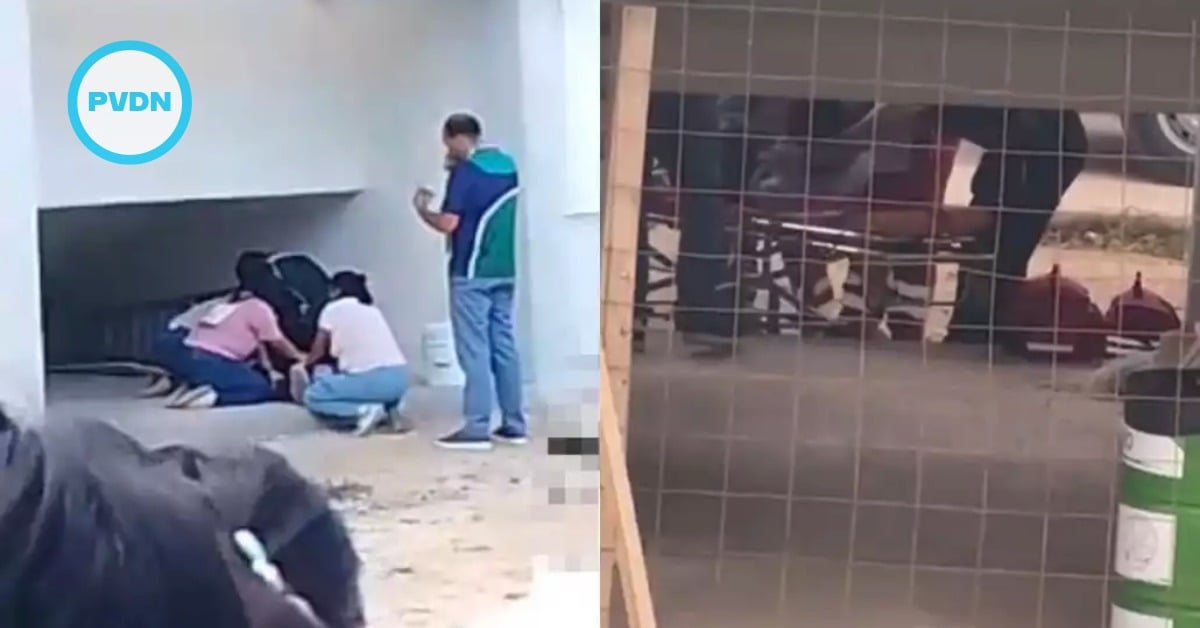 Conalep student fall