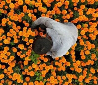 Day of the Dead spending expected to heat up Mexico’s economy Day of the Dead spending