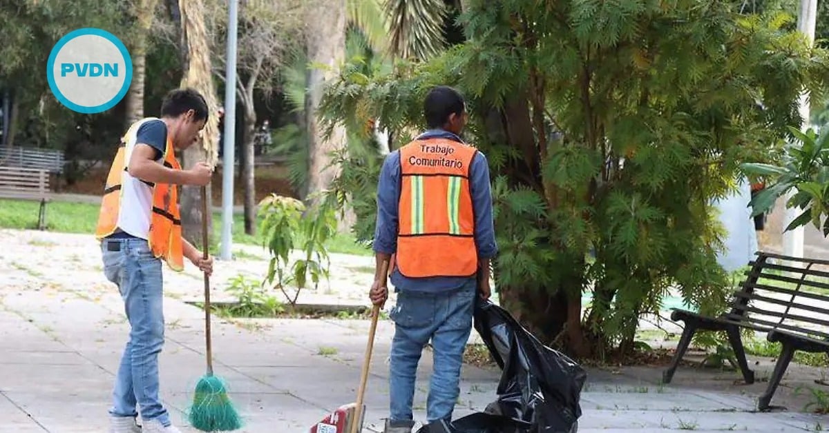 Guadalajara littering fines