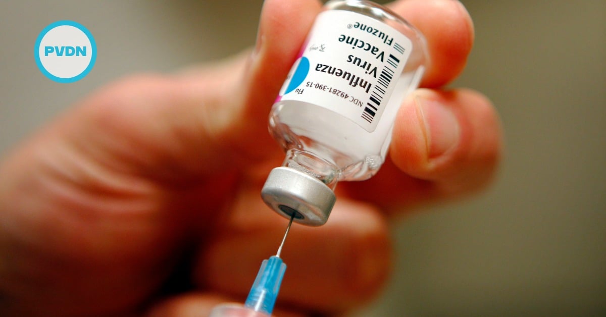 Guanajuato flu vaccination
