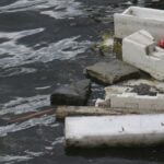 Los Cabos environmental hotline