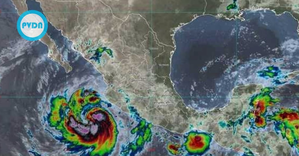 Los Cabos hurricane evacuations