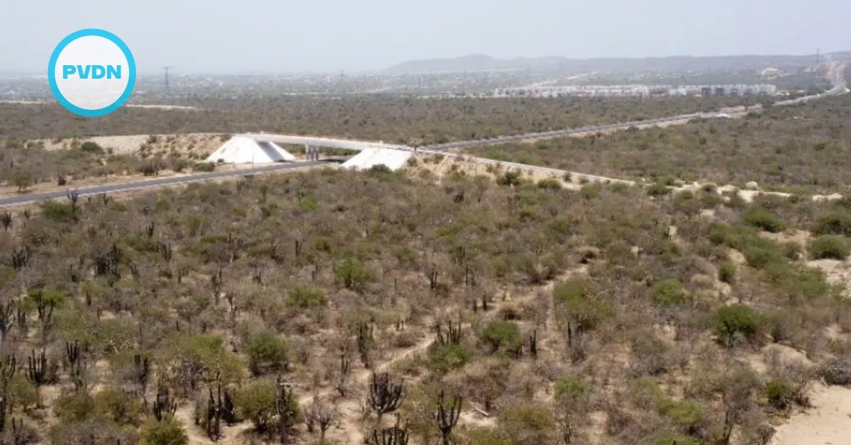 Los Cabos land reserve shortages