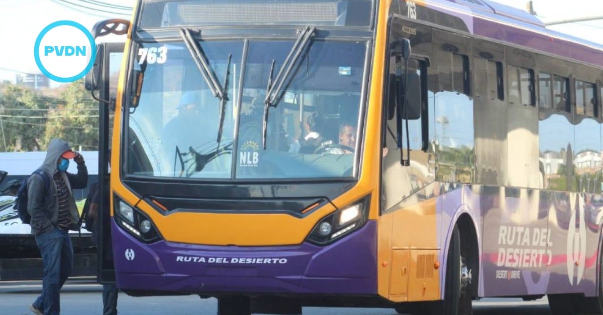 Los Cabos transport hours