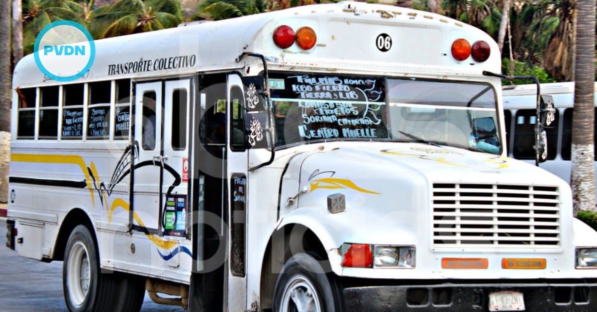 Los Cabos transport hours