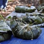 Mucbipollo sales Cancún