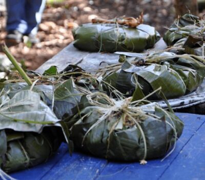 Festival rush powers mucbipollo sales Cancún as altars rise Mucbipollo sales Cancún