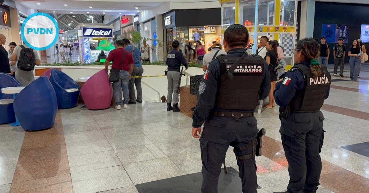Plaza Las Américas robbery