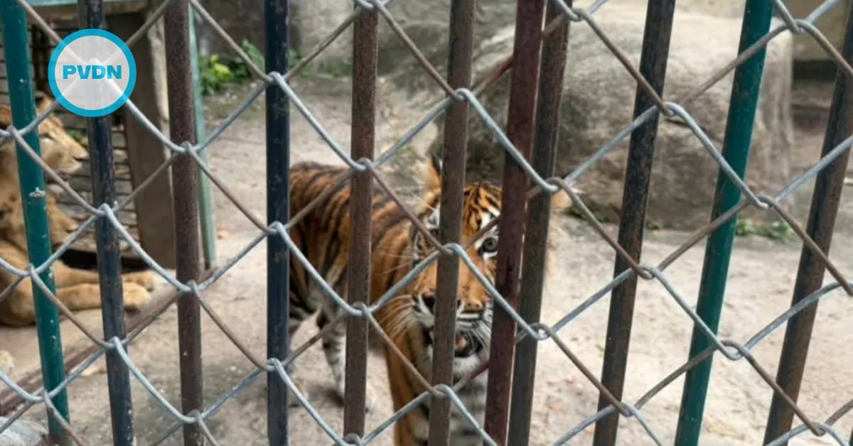 Puerto Vallarta Zoo neglect