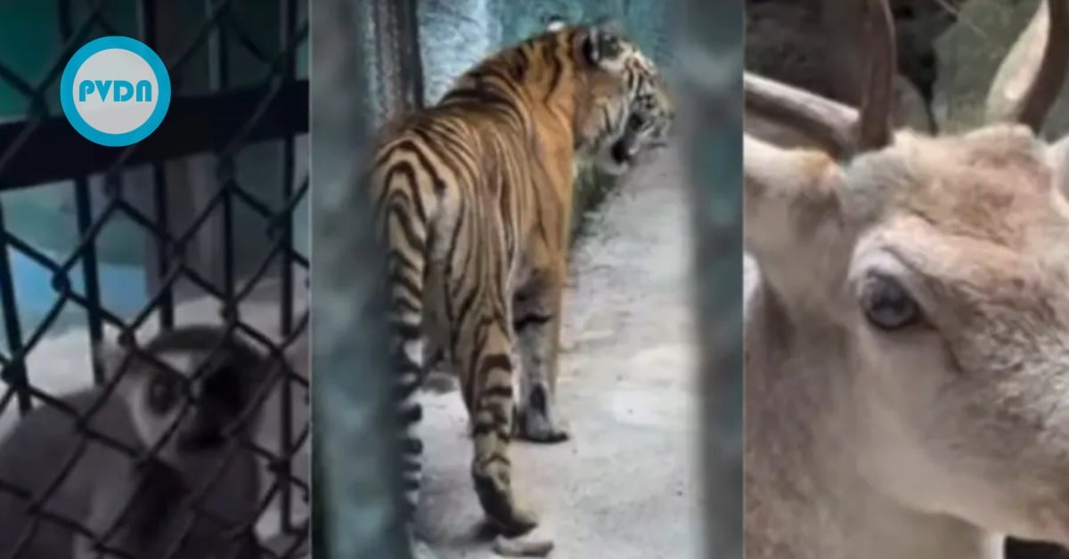 Puerto Vallarta Zoo