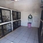 Puerto Vallarta animal shelter